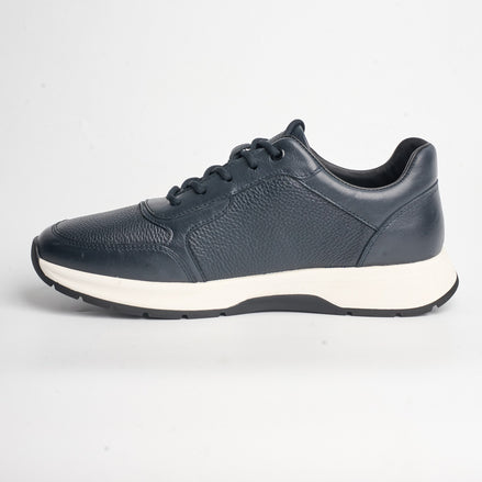 BB-040 Navy - Perforated Leather Sneaker - Bruno Bunker